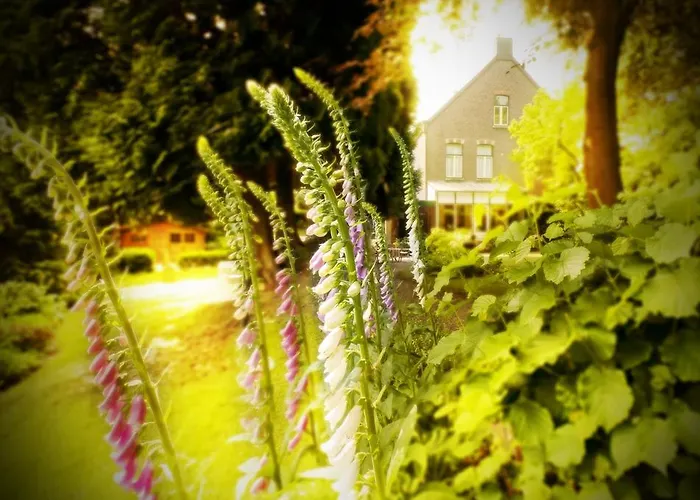 Hotel Beukenhorst